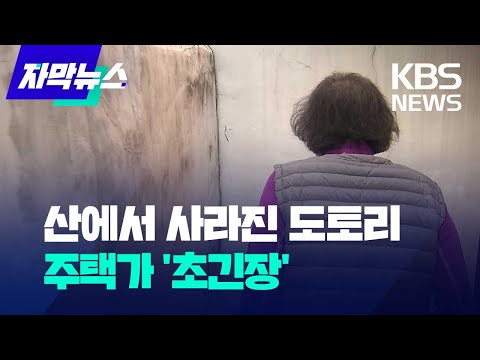 [자막뉴스]  산에서 사라진 도토리... 주택가 '초긴장' / KBS 2023.10.10.