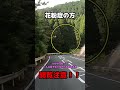 #Shorts 花粉症の人、閲覧注意