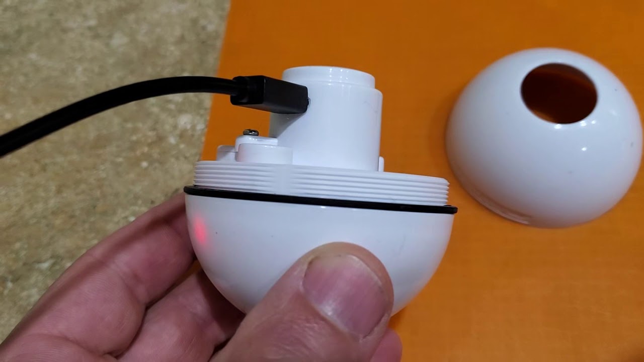 interactive cat ball