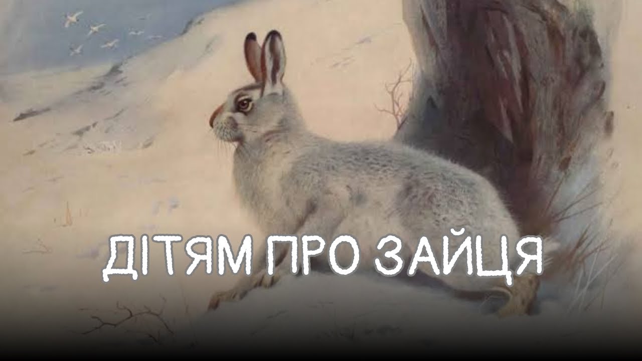 Дітям про зайця+ Ліплення 