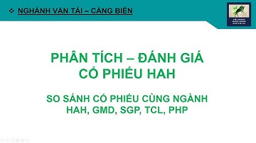 Phân tích đánh giá cổ phiếu HAH và so sánh cổ phiếu ngành cảng biển HAH, GMD, SGP, TCL, PHP