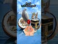 اللهم اشفي كل مريض يتألم ولا يتكلم دعاء الشفاء اللهم اشفي كل مريض يتألم ولا يتكلم دعاء الشفاء