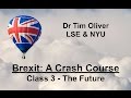 Brexit: A Crash Course - Class 3: The Future