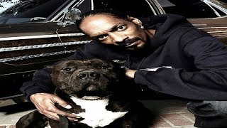 Snoop Dogg - G-FUNK GANGSTA RAP [MUSIC VIDEO]