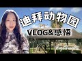 Vlogdubai safari zoo vlogthoughts