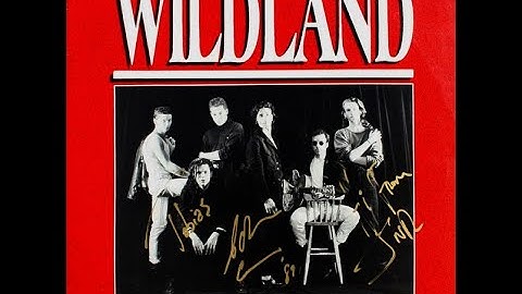 Wildland - One For Unity 12