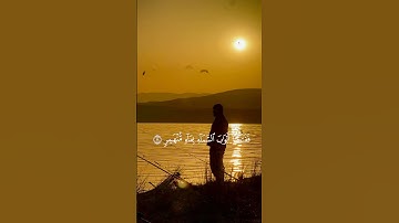 فدعا ربه أني مغلوب فانتصر | الآية من سورة القمر #المصحف