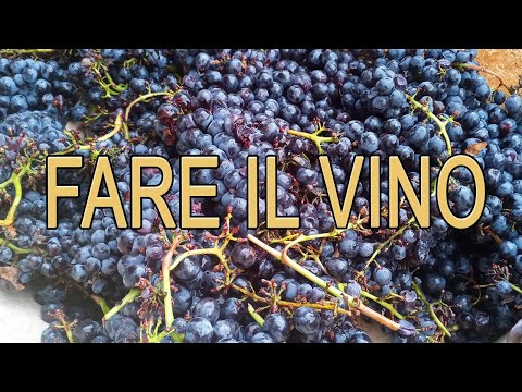 Video: Vino Fatto In Casa: Una Ricetta Collaudata Nel Tempo