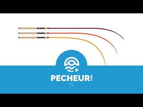 Vidéo: Types D'auto-déflecteurs Pour Cannes à Pêche