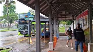 SMB5888H Sv 969. Depart Yishun Blk 114. MAN A95 Euro 5 Demonstrator Batch DD Bus. SG❤️BUS. 15/09/25.