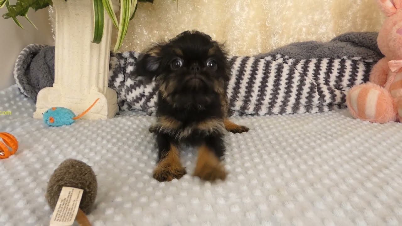 Best of Luke 04 21 21 video