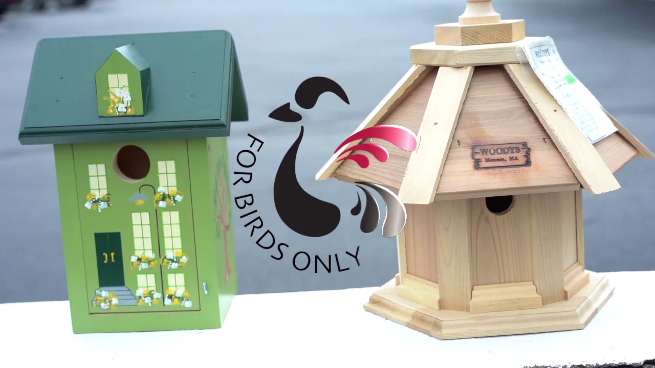 For Birds Only Falmouth, MA Bird Houses YouTube
