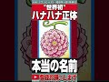 【ワンピース】※全視聴者が騙された※ハナハナの真の能力。五老星がダーメージを受けない理由。瞬間移動。ウミウミの実。想像のニカと創造のイム生みの能力【最新話がもっと楽しみになる考察】【ネタバレ】【黒磯】