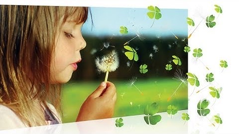 PowerDirector 10 - 3D Particle Sample