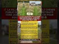 LA VILLE N ENTRETIENT PLUS LE CHEMIN PUBLIC DEV mp3