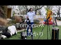 【Tomorrow/岡本真夜】coverd by一華ひかり@ichikahikari