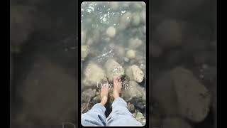 suhana safar ....!     #love #travel #song #nature #youtubeshorts #mountains #trending #green