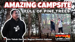 Amazing New Campsite | Tabak Pine Trees