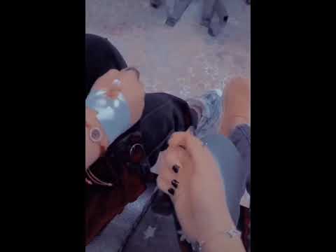 ضروري اليوم نتشاوف احس الشوق اذاني لٱ تكول ماكدر