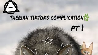 therian tiktoks complication 🌿[]THX FOR 100 SUBS[]