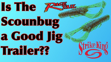 Testing out the Strike King Rage Scounbug as a Jig Trailer on the Quemahoning Dam