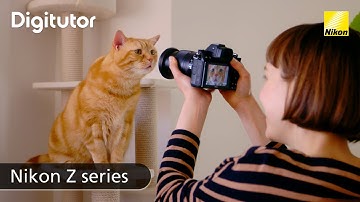 AF-Area Mode: Choosing a Mode to Suit the Scene | Z7/Z6/Z5/Z30 | Nikon Digitutor