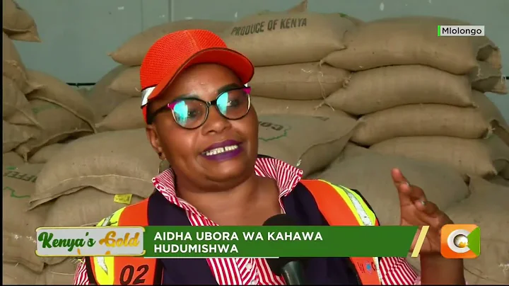 Kenya's gold | Coffee processing in Kenya