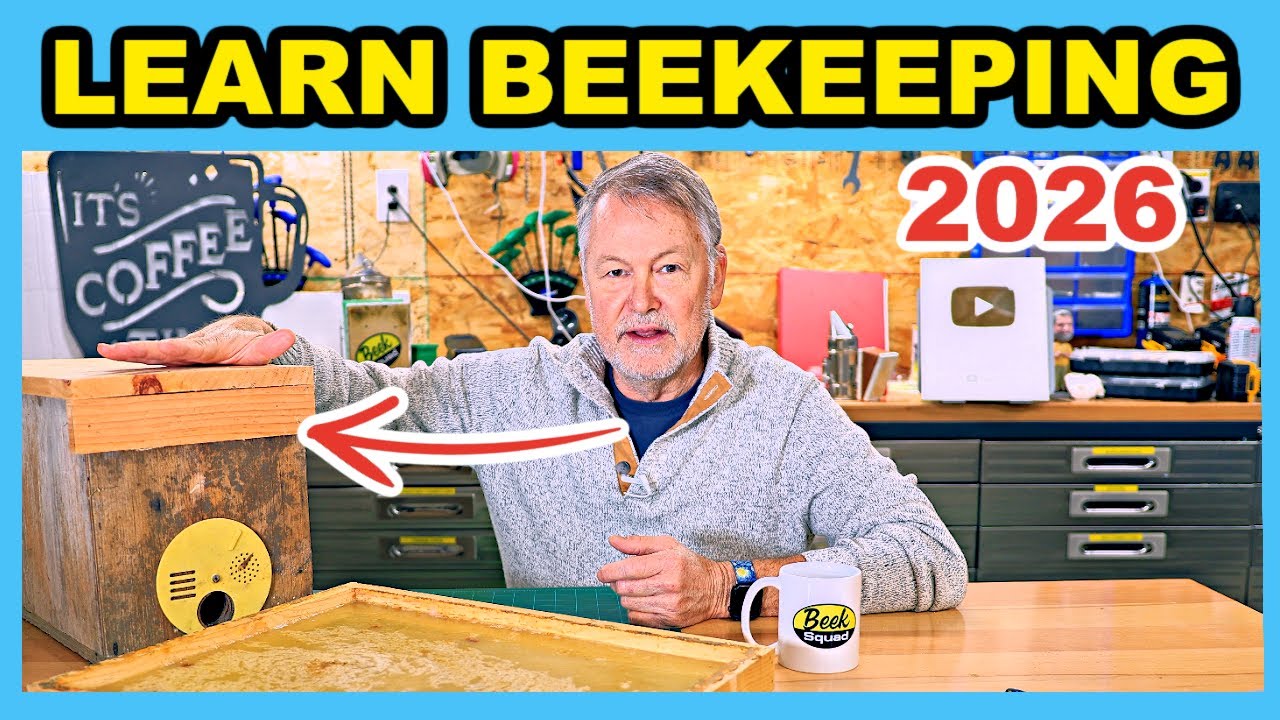 Beekeeping | The Fastest Way To Learn Beekeeping In 2026