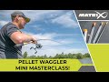 PELLET WAGGLER MASTERCLASS with Jon Arthur!