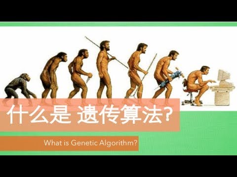 什么是遗传算法? What is Genetic Algorithm?