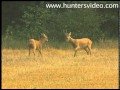 My Very Best Buck - Hunters Video