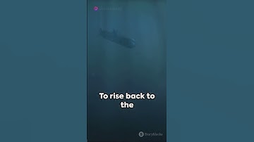 Submarine: Dive and Surface Explained! #submarine #ocean #navy #engineeringwonders  #innovation