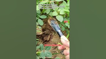 Weeding Tool Game Changer 🌱 Clears Soil with Ease! #GardeningHacks #FarmTools