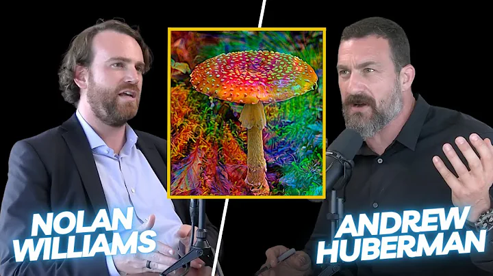 Nolan Williams - "Psychedelics SHOULDN'T be used recreationally"