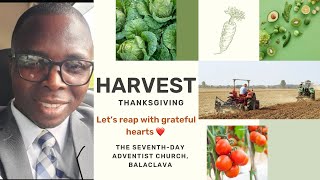 The Seventh-day Adventist Church, Balaclava is live