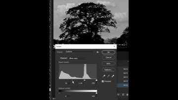 Remove tree