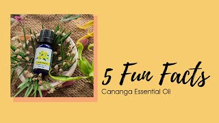 Utama Spice Cananga Essential Oil 10 ml