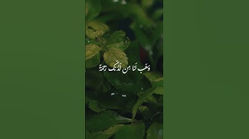 سورة آل عمران الآية 8 | ربنا لا تزغ قلوبنا | أحمد النفيس ✨️