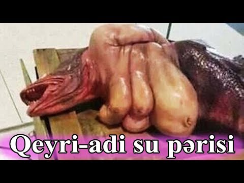 Qeyri-adi su pərisi düşüncələri alt-üst etdi - dəhşətli