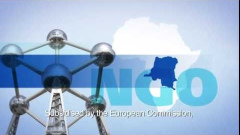 How we work at the European Ombudsman