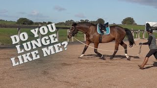 How To Lunge A Horse &amp; Some Lunging Tips