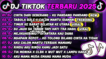 DJ TIKTOK TERBARU 2025🎵DJ CINTA DARI SEBERANG - KU PANDANG PANDANG ADEK DARI SEBERANG🎵DJ TABOLA BALE