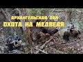 Охота на «весеннего» медведя