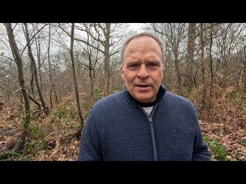 My #Prostate #Cancer Journey - part 14: all-clear on #histology, progress on #incontinence