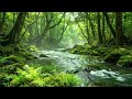 Healing Sounds of Deep Forest, Flowing Stream, Beautiful Birds Singing, Relaxing Nature ASMR