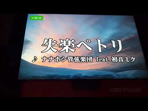 失楽ペトリ[歌ってみた(しどう×荒木)]