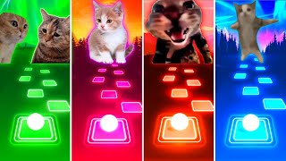 Talking Cats vs Savage Cat vs Doorbell Cat vs Happy Cat - Tiles Hop EDM Rush