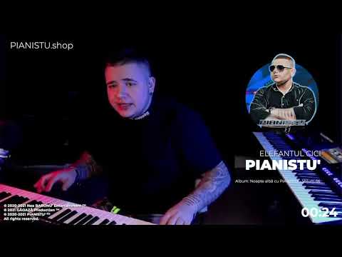 PIANISTU' - Elefantul Cici 👉 LIVE 👈