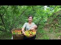 Daily life of a 18yearold single mom  harvest ripe red plums in the mountains with child to sell