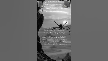 سورة العنكبوت 25/16 turk/arab #القران_الكريم#quran